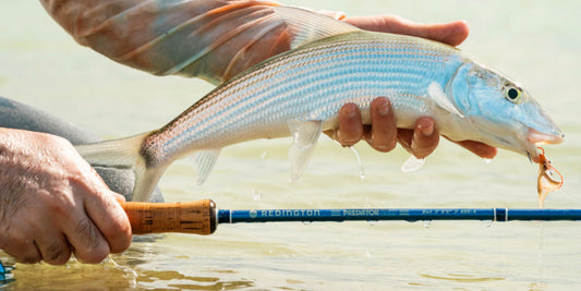 Redington Predator Salt Fly Rods