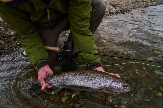 RIO Ambassador Series Gray Struznik - Skagit Timberline