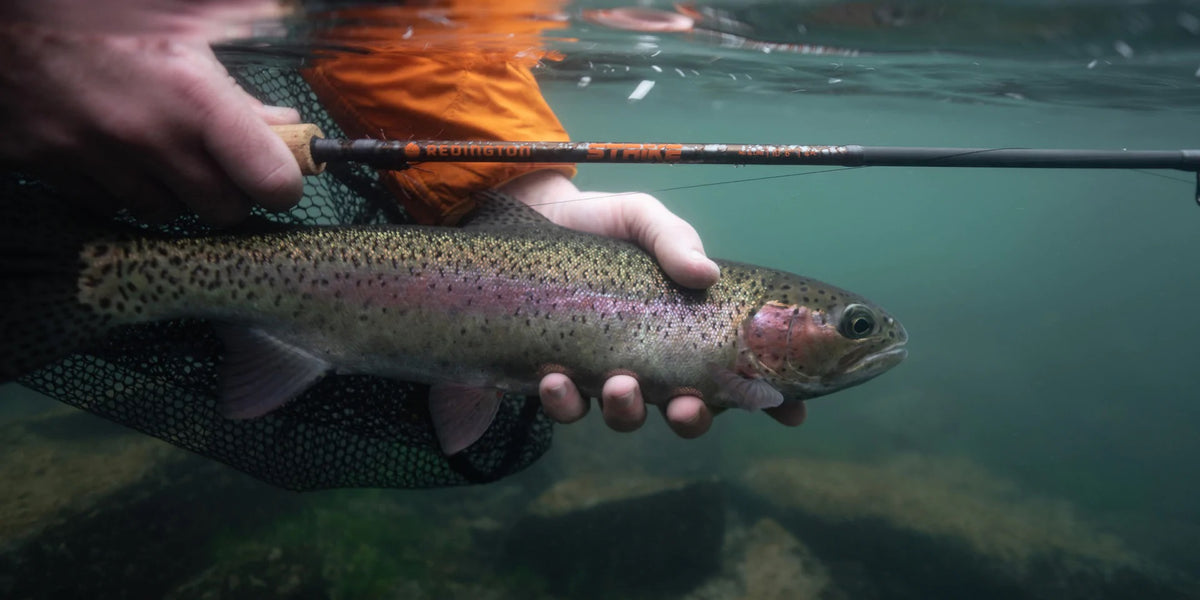 Redington Strike v2 Fly Rods