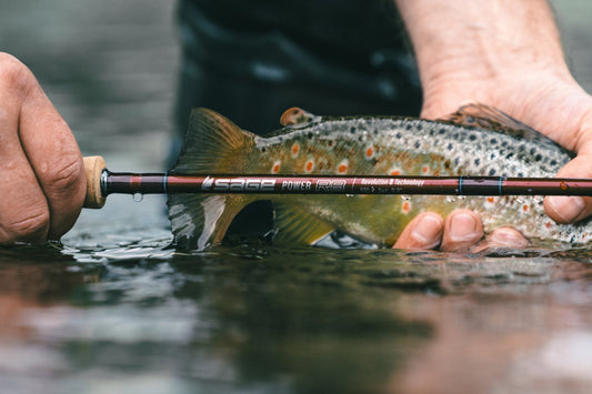Sage Power R8 Fly Rods