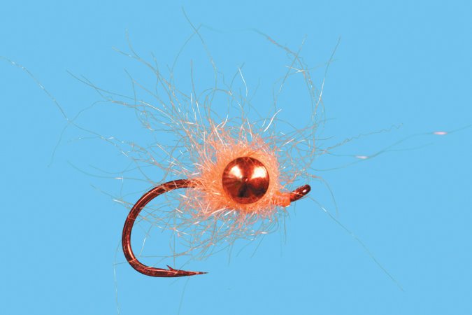 Chewy Egg - Orange fly