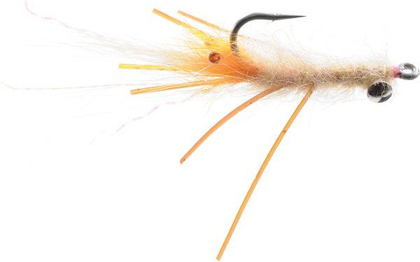Spawning Mantis Shrimp - Tan / Orange