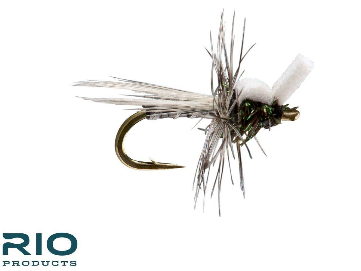 Stillborn Midge - Black #18,20,22