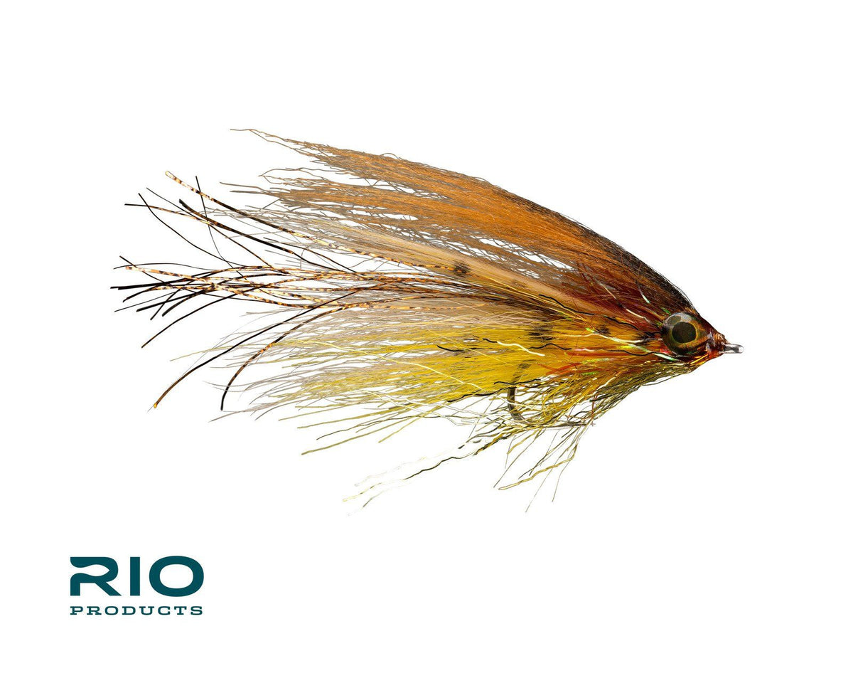 RIO's Flashdance - Brown