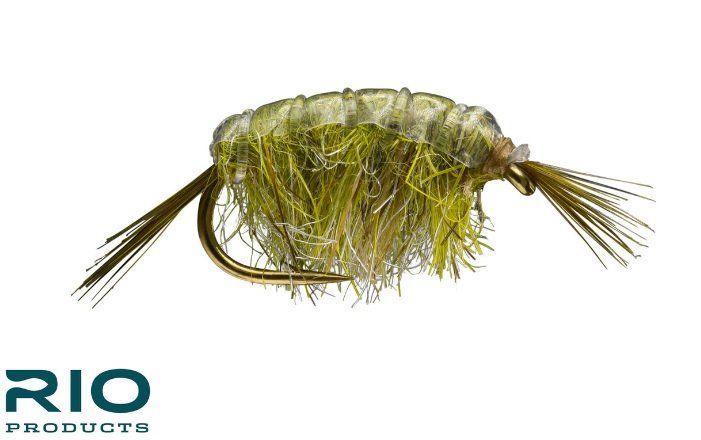 RIO Scud - Dark Olive
