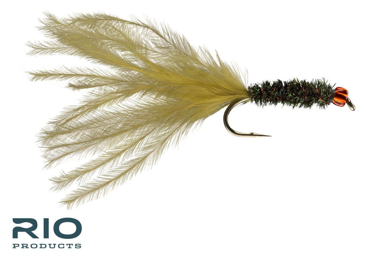 RIO's Red Head Leech