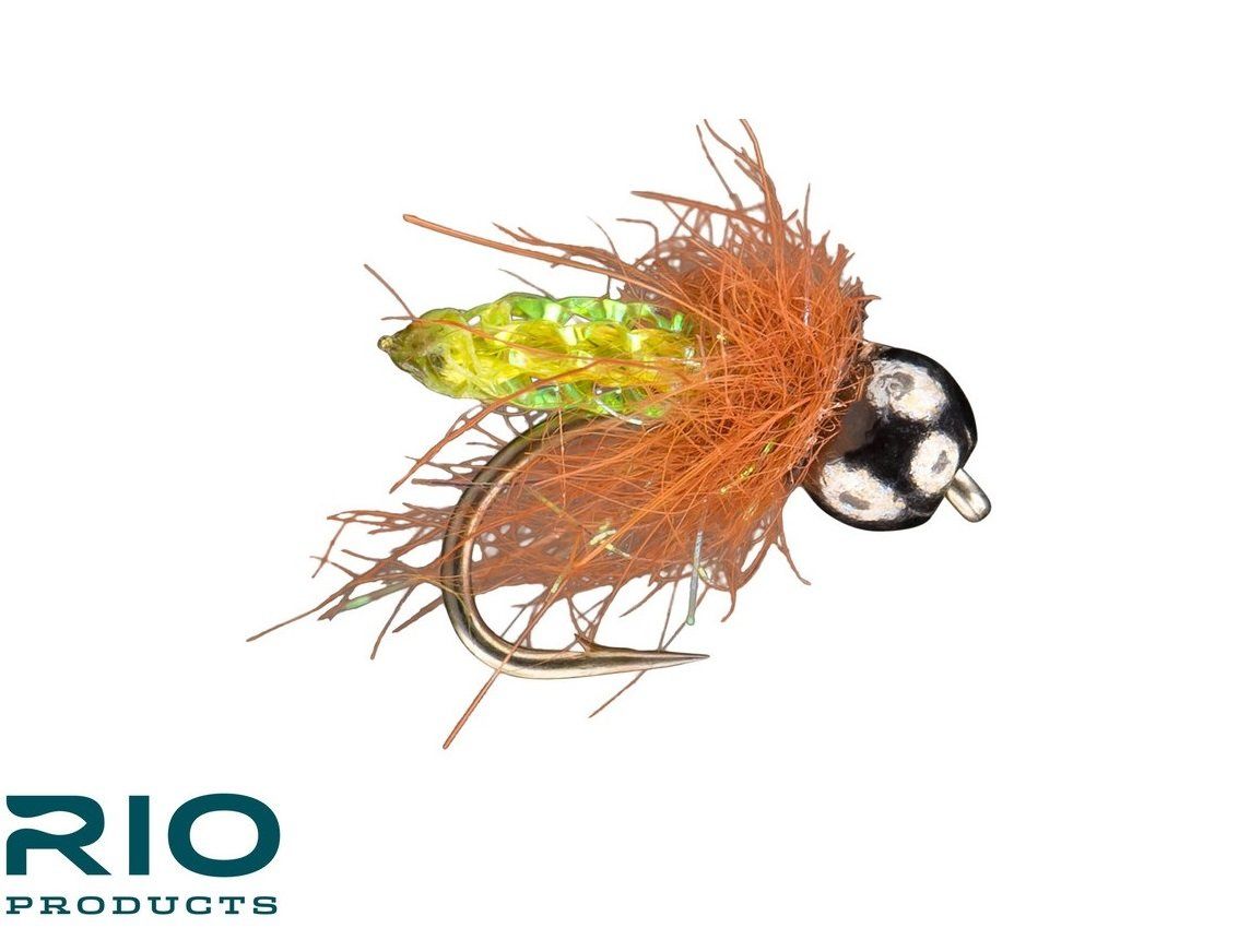 RIO's Pupa Scoopa - Olive