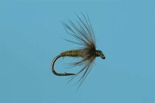 Soft Hackle BWO