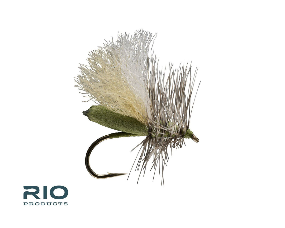 RIO's Foam Run Caddis - Olive