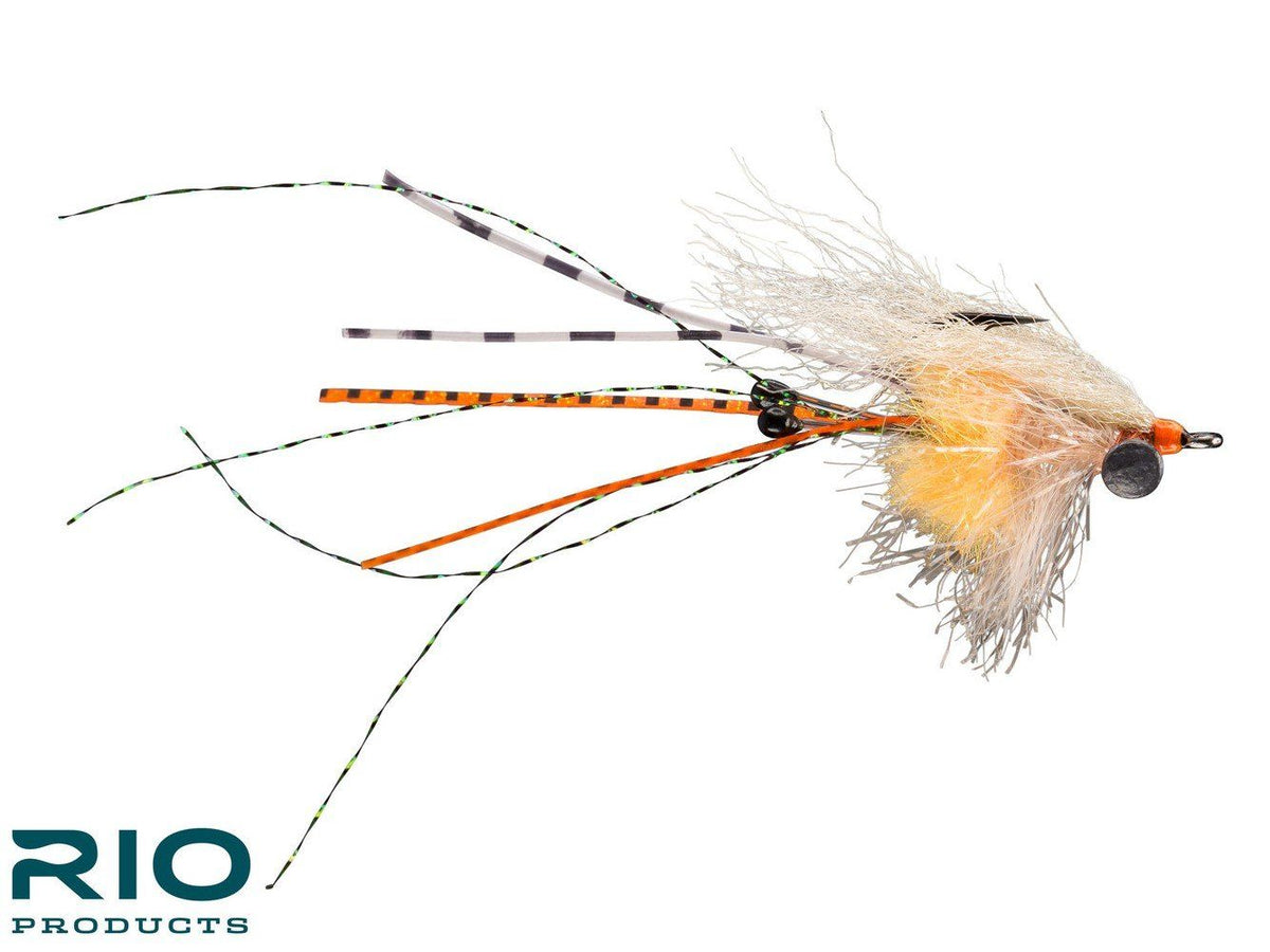 Carpet Shrimp - Orange