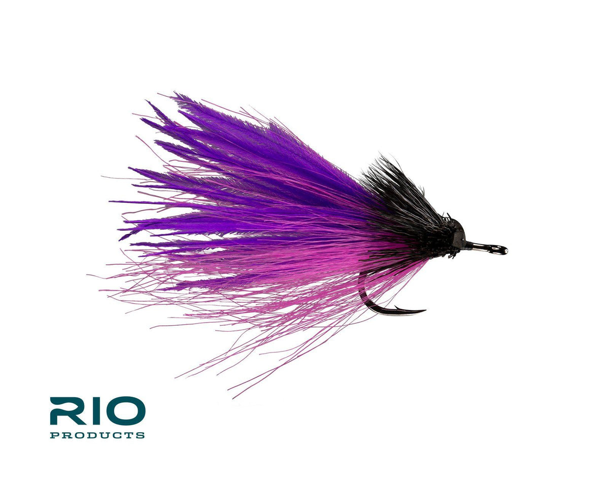 RIO's Dread Pirate - Purple/Pink