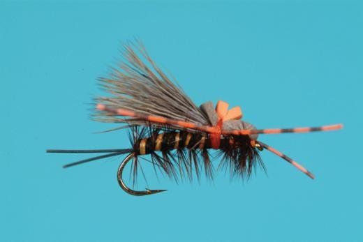 Rollin Stone Fly