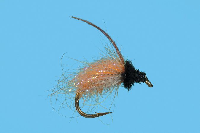 Solitude Caddis - October