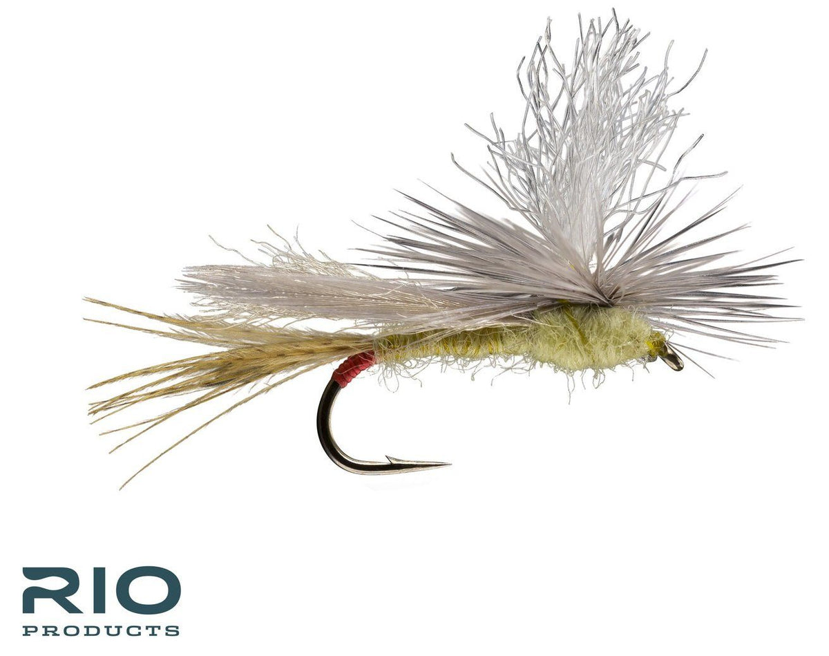 RIO Parachute Yellow Sally