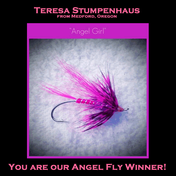 Angel Girl Fly Winner