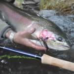 Fly Fishing Tips and Tactics