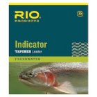 RIO Indicator Leaders