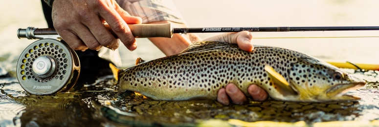 Sage R8 Classic Fly Rods for Trout