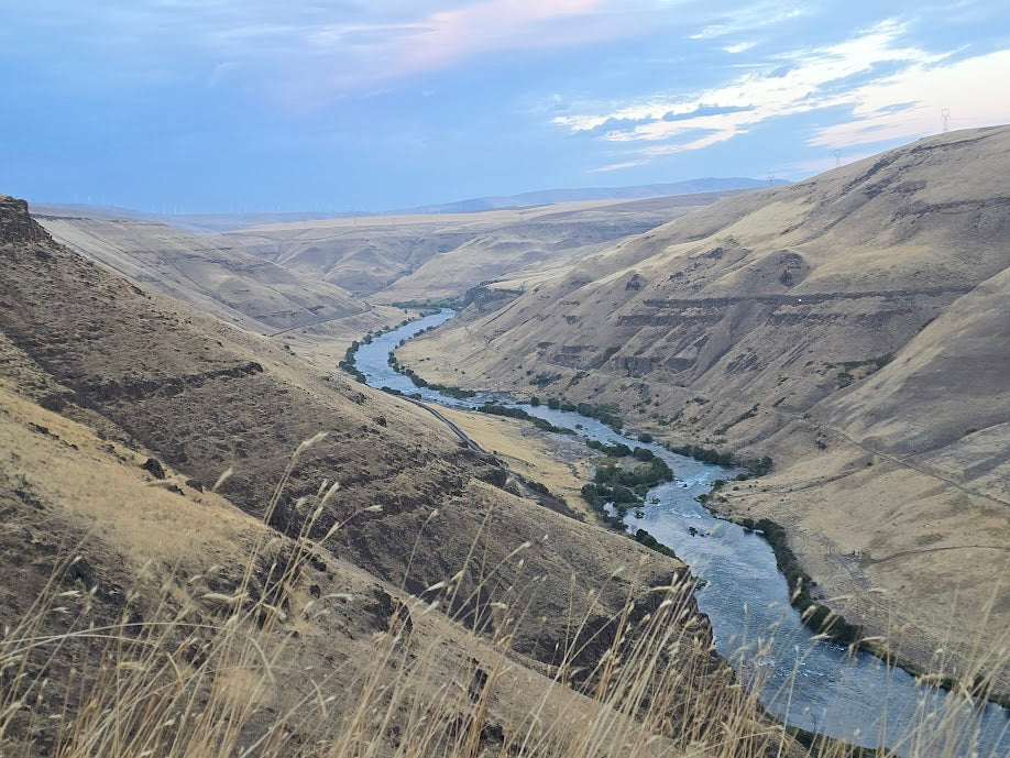 Fishing Report 4/20/26