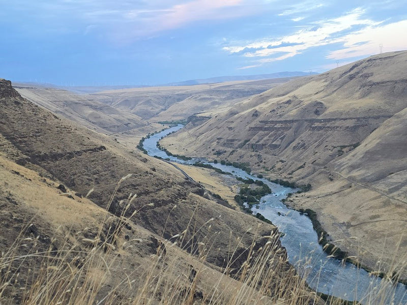 Fishing Report 4/20/26