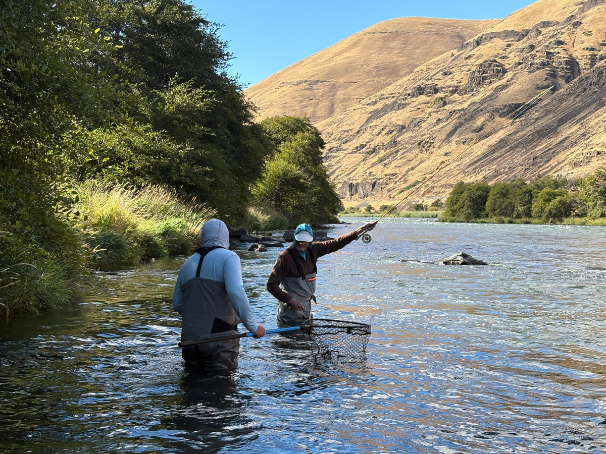 Deschutes - Fishing Report - October 2026