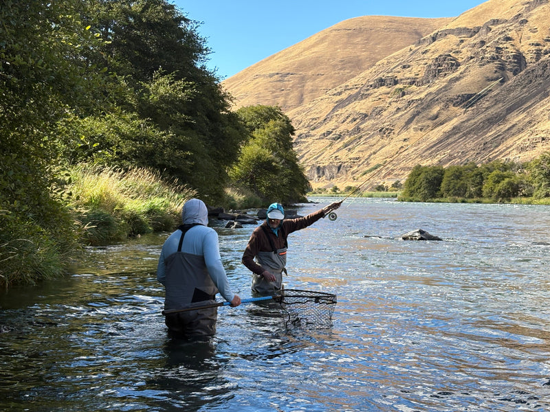 Deschutes - Fishing Report - October 2026