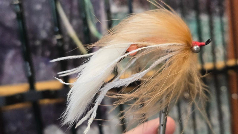 Friday's Featured Fly - Yardstick Flesh
