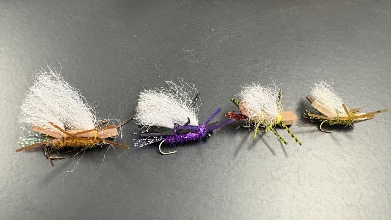 Fishing Report - 6/28/26