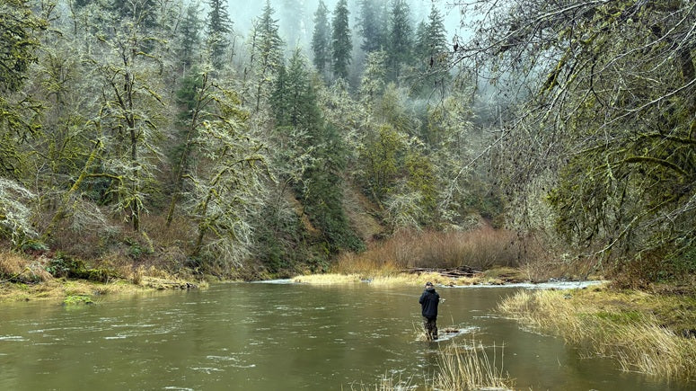 Fishing Report - 2/13/26