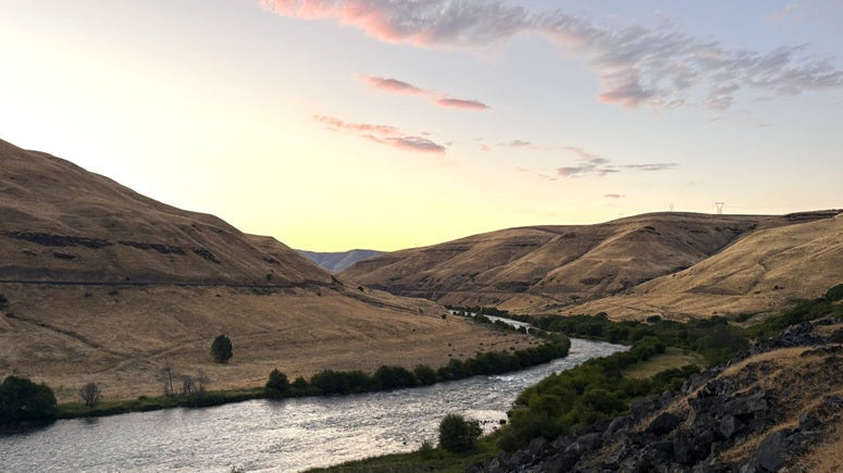 Fishing Report - 7/7/26