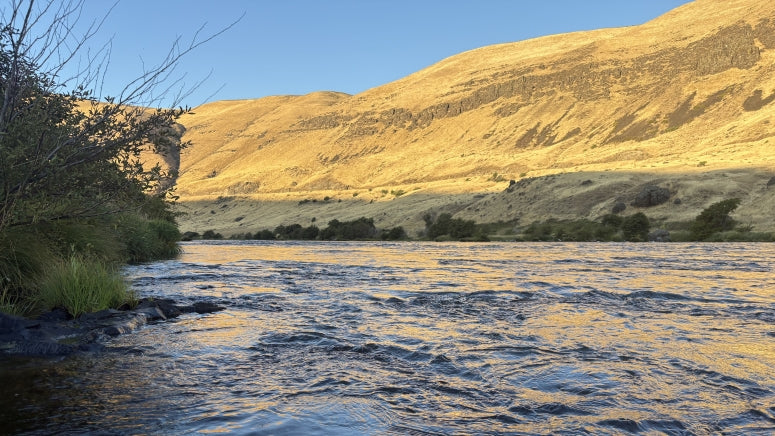 Fishing Report - 2/1/26