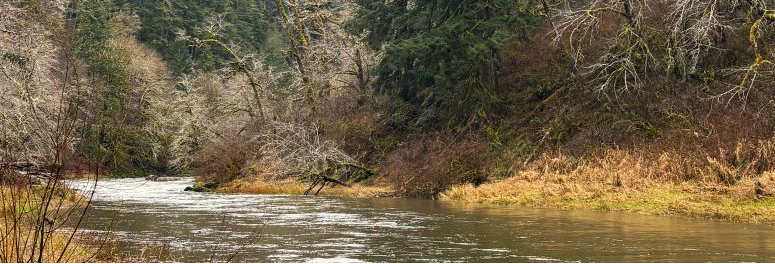 Fishing Report - 3/30/26