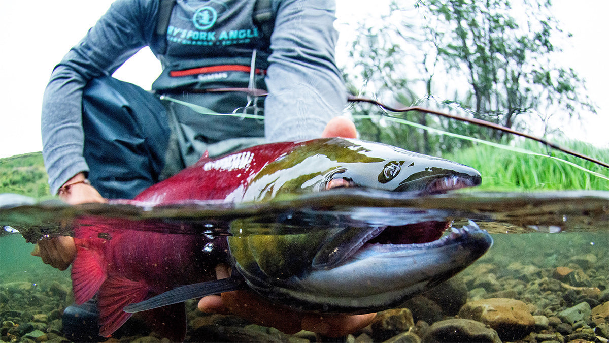 Alaska West - Salmon Catch with Simms Waders & Sage Igniter Rod