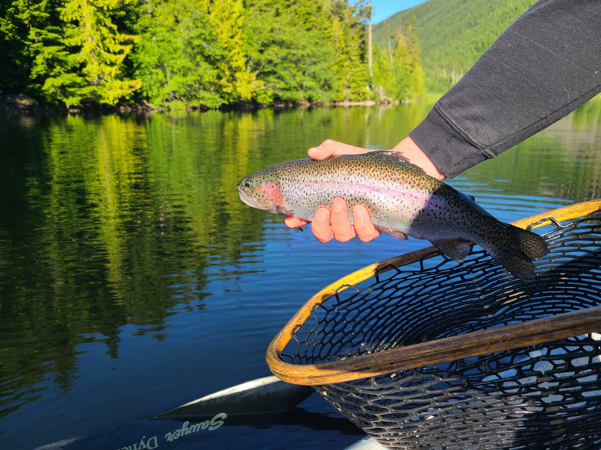 Stillwater Flies