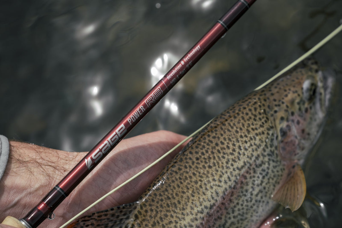 Sage Fly Rods
