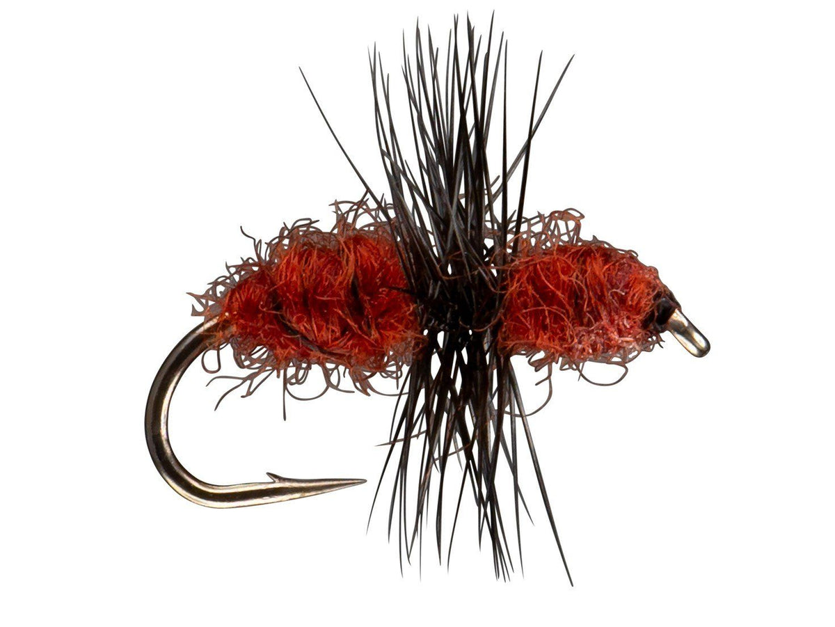 RIO Fur Ant - Cinnamon