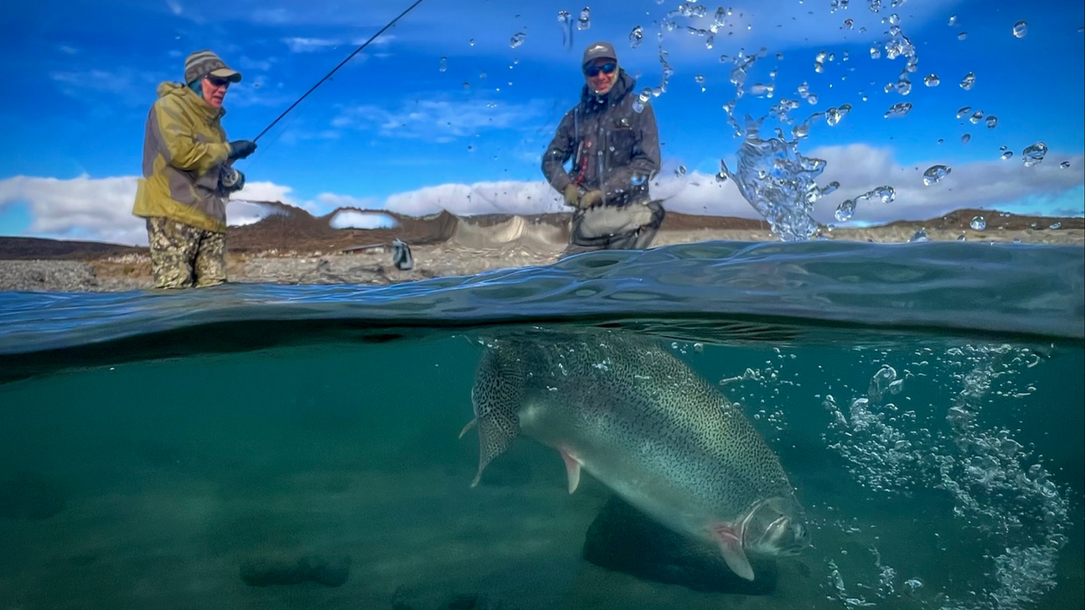 Jurassic Lake - Underwater Trophy Trout