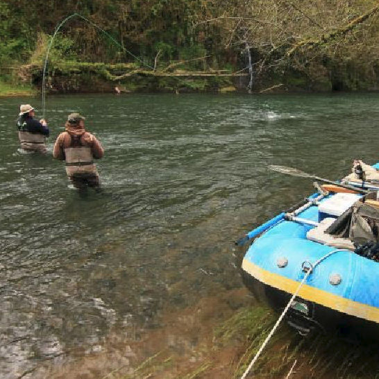 Northern Oregon Coast Steelhead | Fly Water Travel