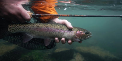 Redington Strike v2 Fly Rods