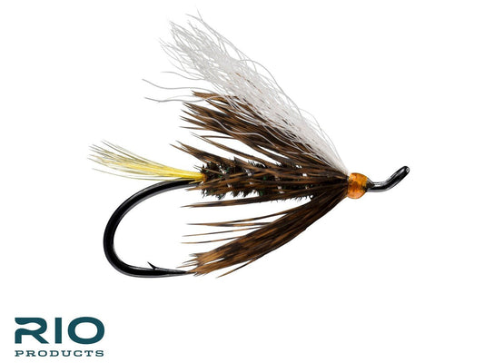 Steelhead Coachman fly