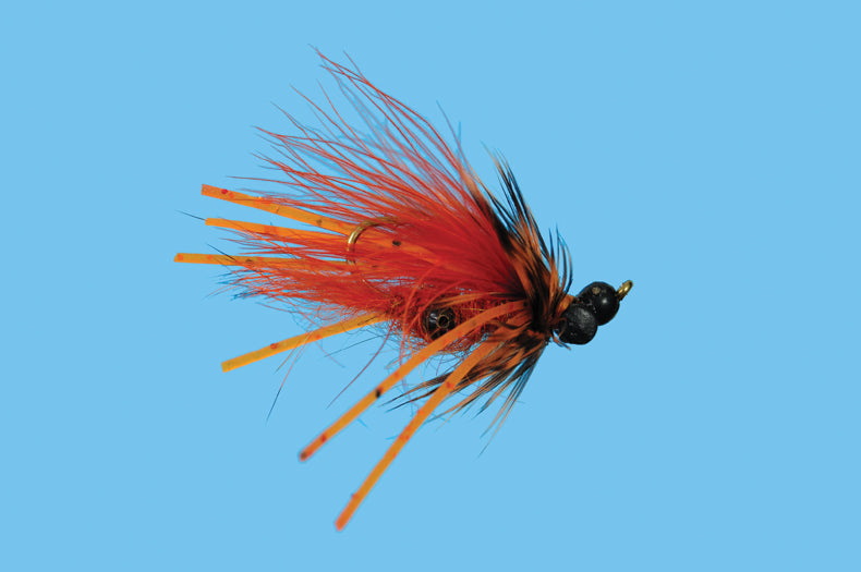 Carp Craw - Orange