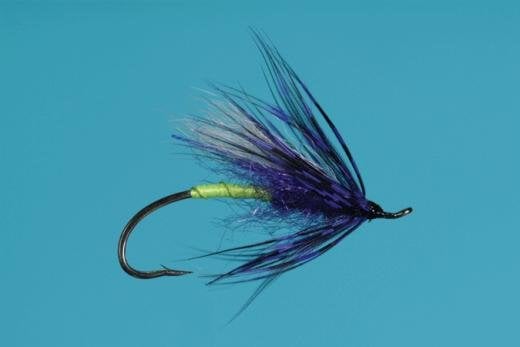 Larimer's Purple Green Butt fly