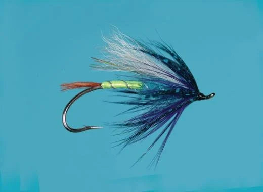 Fishing fly with purple and green body on a blue background