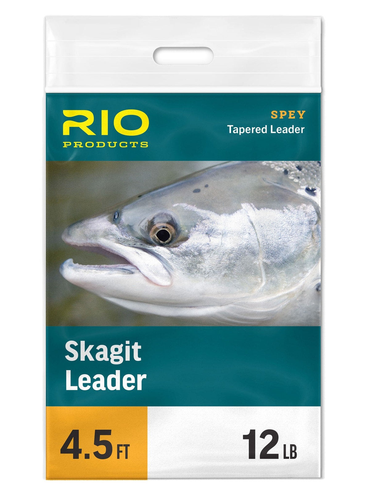 RIO Skagit Leader