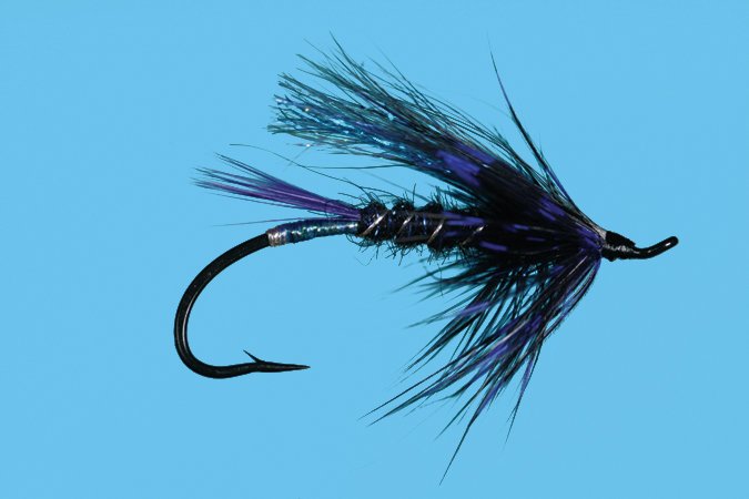 Bennet's Last Light fly