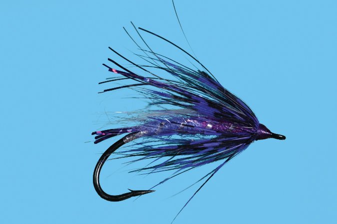 Summer Run - Purple fly