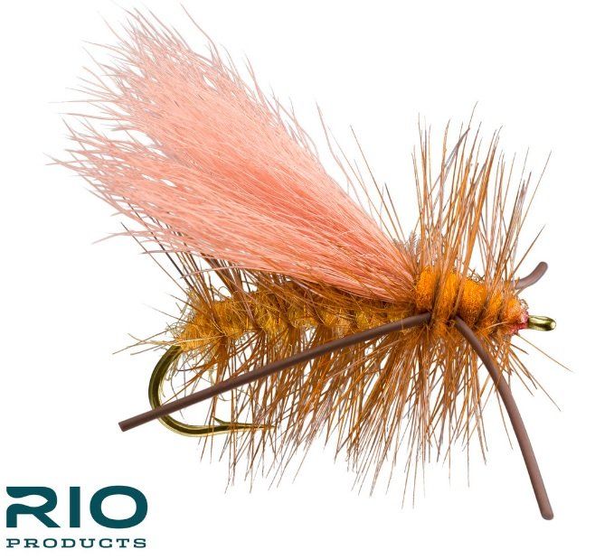 RIO Norm Wood Special