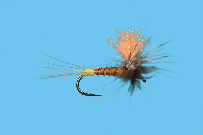 Hi Vis Rusty Spinner
