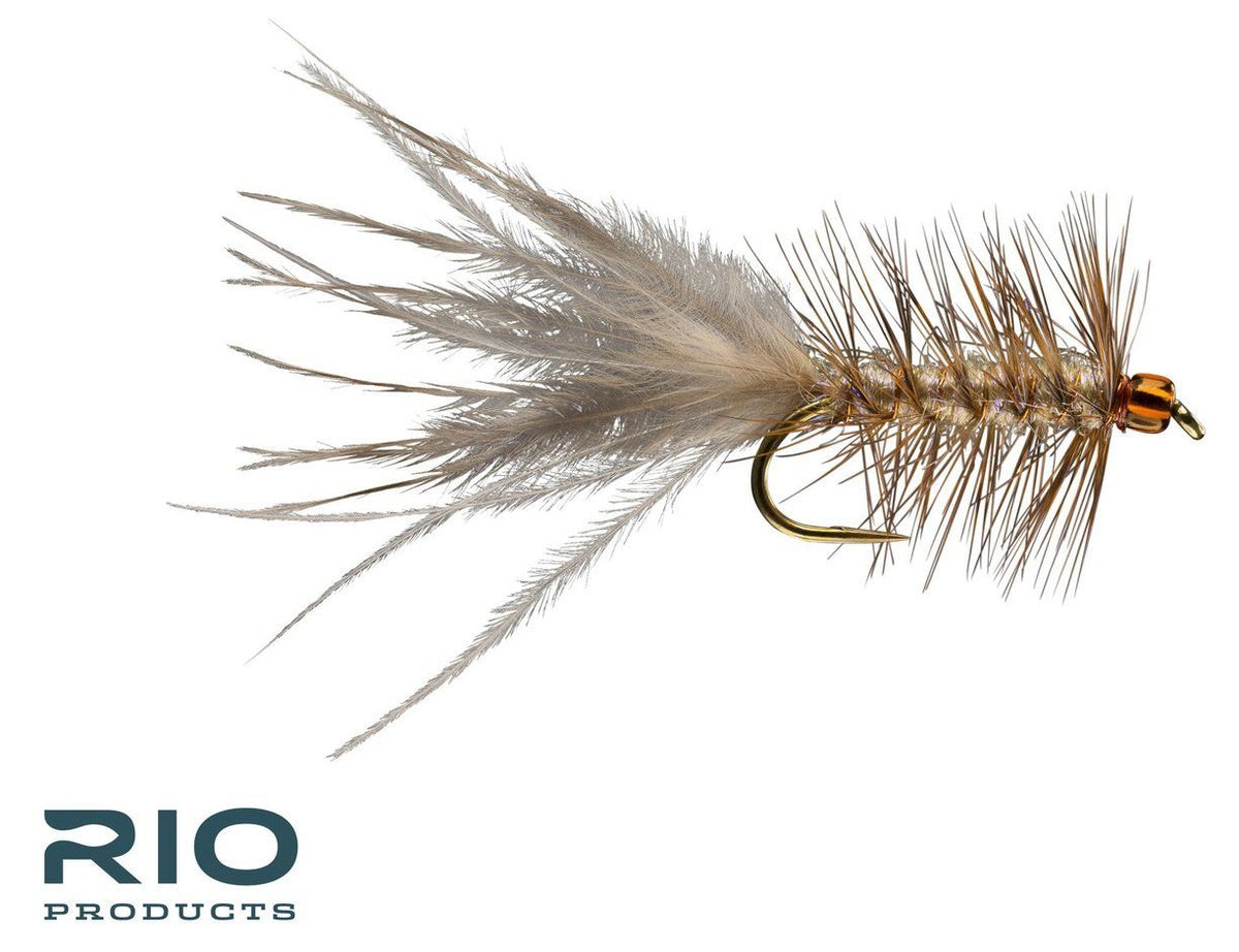 RIO's Blonde Leech - Cream