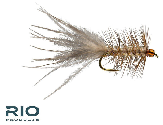 RIO's Blonde Leech - Cream